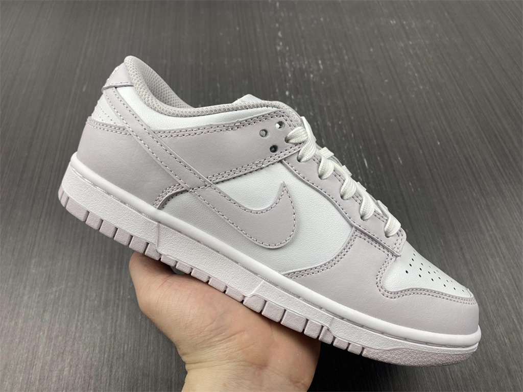 NIKE DUNK LOW  DD1503-116